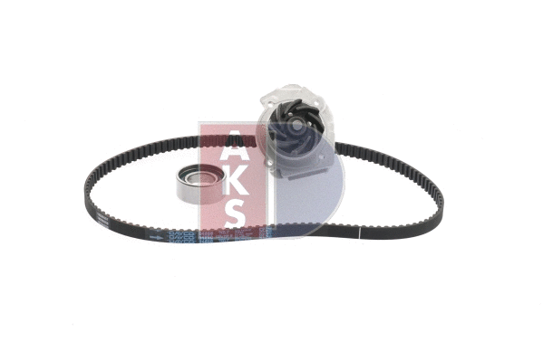 Water Pump & Timing Belt Kit (570273N)