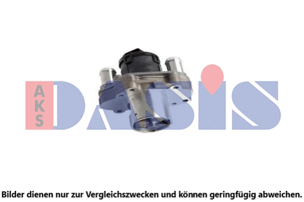 EGR Valve (125007N)