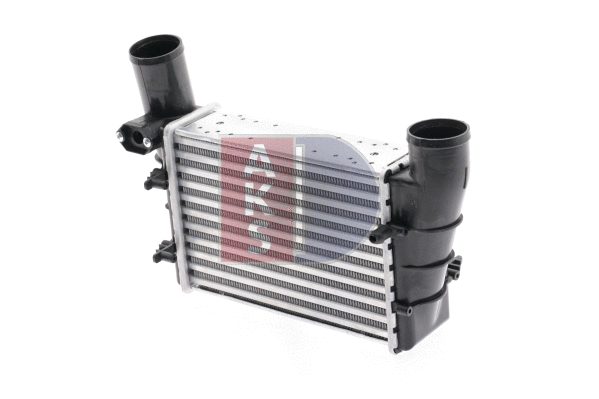 Charge Air Cooler (487003N)