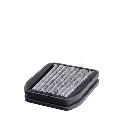 Filter, cabin air (E989LC01)
