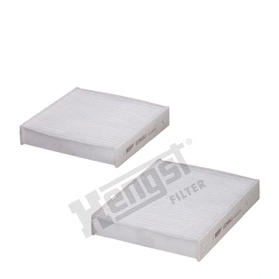 Filter, cabin air (E2967LI-2)