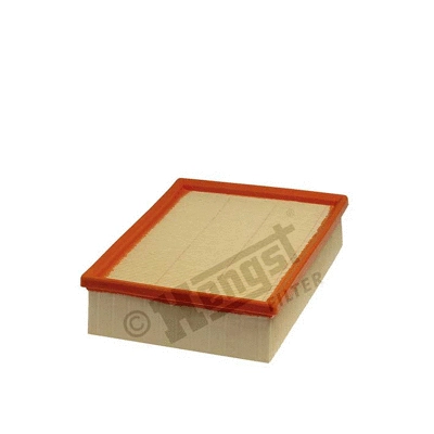 Air Filter (E231L)