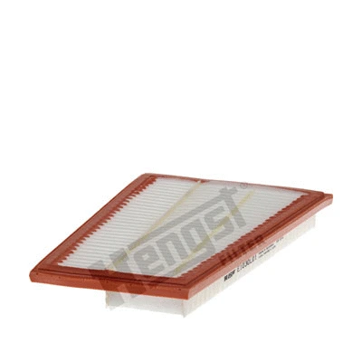 Air Filter (E1030L01)