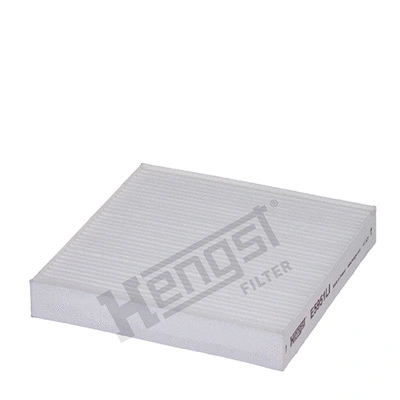 Filter, cabin air (E5951LI)