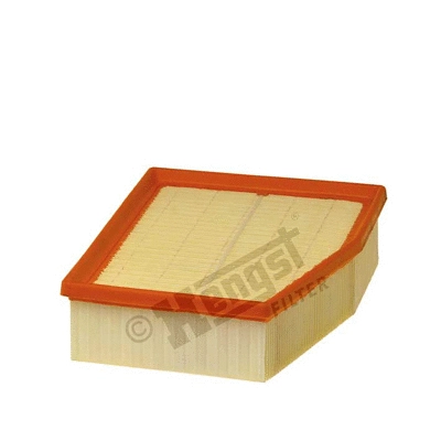 Air Filter (E665L01)