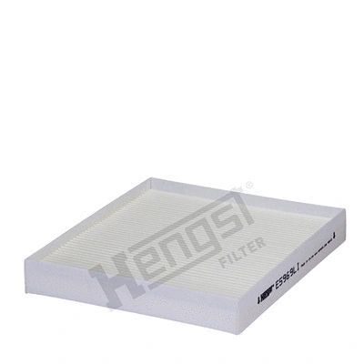 Filter, cabin air (E5969LI)