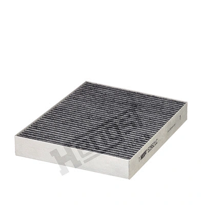 Filter, cabin air (E2962LC)
