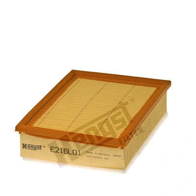 Air Filter (E216L01)