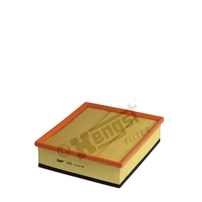 Air Filter (E161L01)