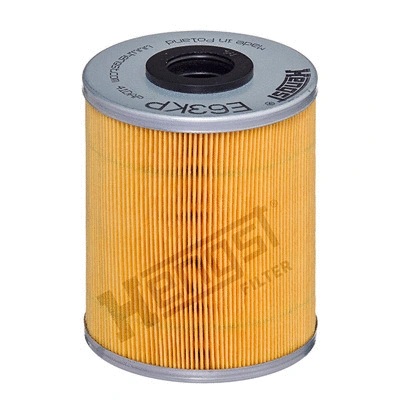 Fuel Filter (E63KP D78)