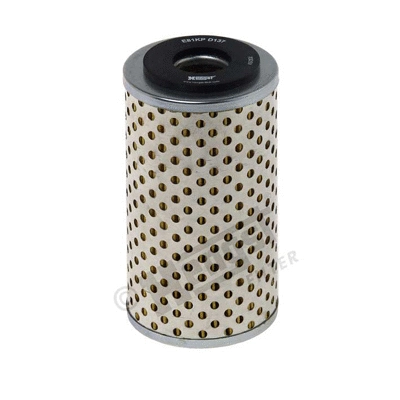 Fuel Filter (E81KP D137)