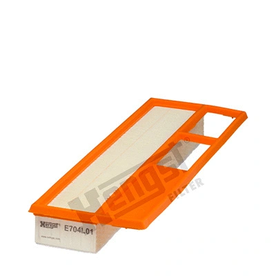 Air Filter (E704L01)