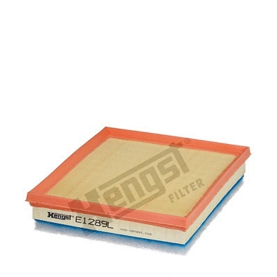 Air Filter (E1289L)
