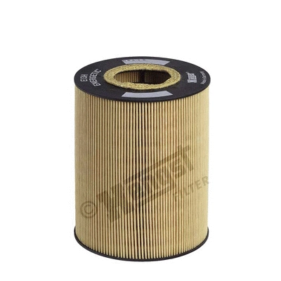 Oil Filter (E13H D47)