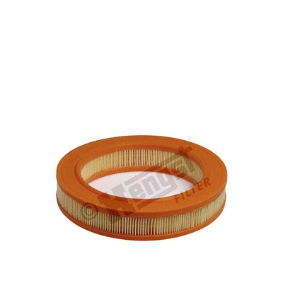 Air Filter (E186L)