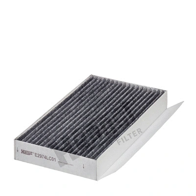 Filter, cabin air (E2974LC01)