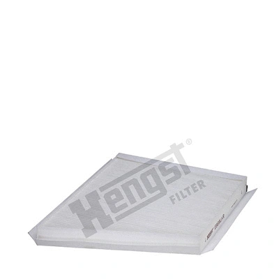 Filter, cabin air (E989LI-R)