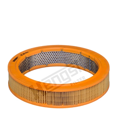 Air Filter (E89L)