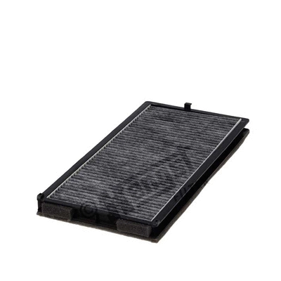 Filter, cabin air (E959LC)