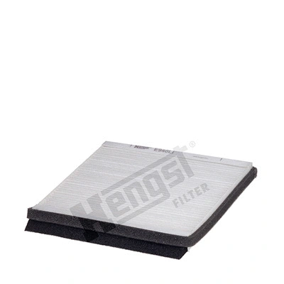 Filter, cabin air (E940LI)