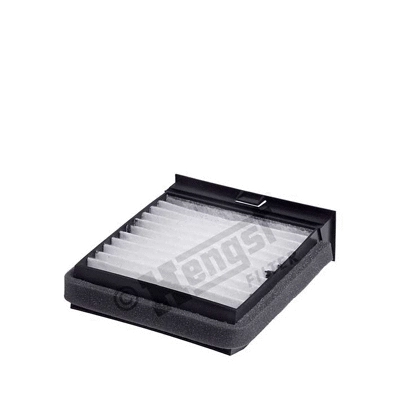 Filter, cabin air (E991LI)