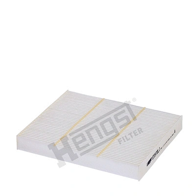 Filter, cabin air (E5970LI)