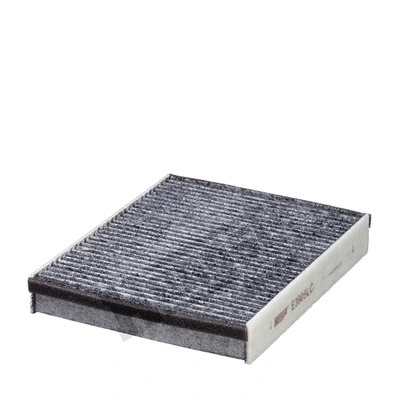 Filter, cabin air (E3905LC)