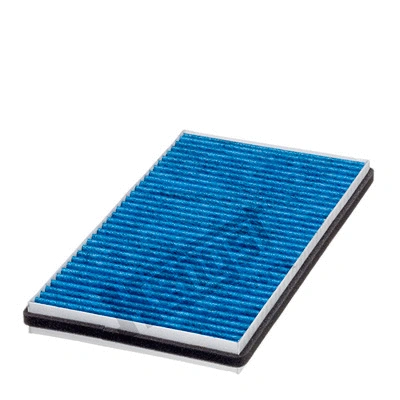 Filter, cabin air (E2963LB)