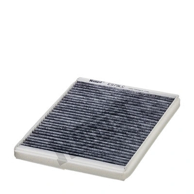 Filter, cabin air (E979LC)