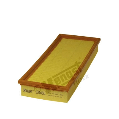 Air Filter (E646L)