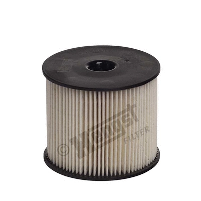 Fuel Filter (E69KP D100)