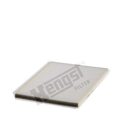 Filter, cabin air (E2989LI)