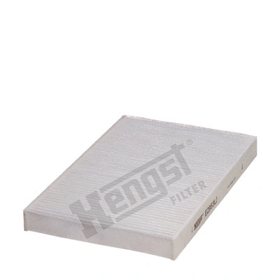 Filter, cabin air (E2953LI)