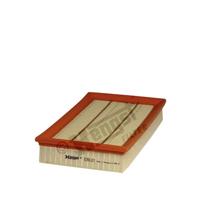 Air Filter (E30L01)