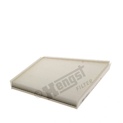 Filter, cabin air (E989LI01)