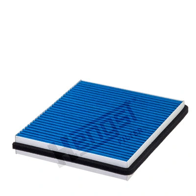 Filter, cabin air (E2962LB)
