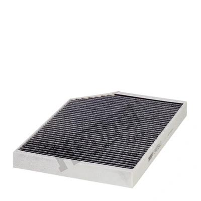 Filter, cabin air (E4979LC)