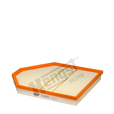 Air Filter (E1081L)