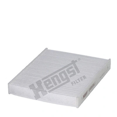 Filter, cabin air (E4959LI)