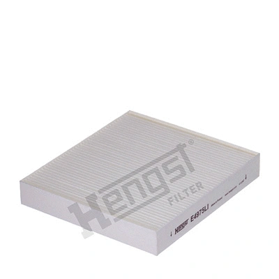 Filter, cabin air (E4975LI)