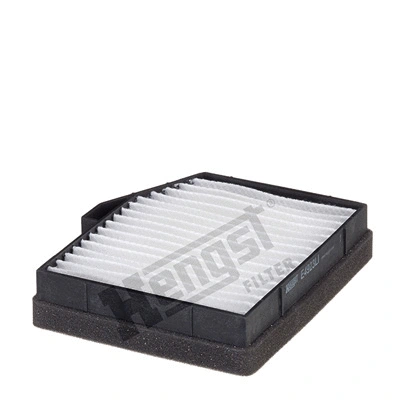 Filter, cabin air (E4923LI)