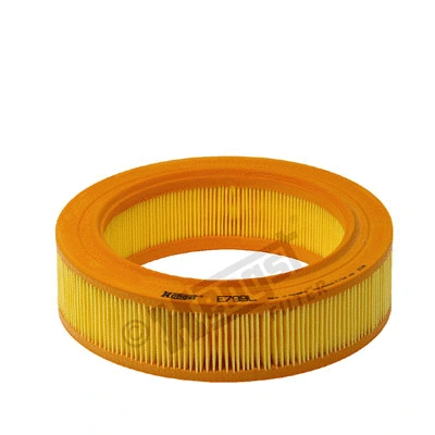 Air Filter (E799L)