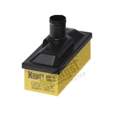 Air Filter (E650L)