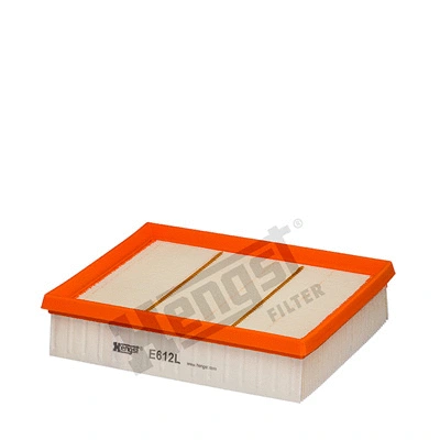 Air Filter (E612L)