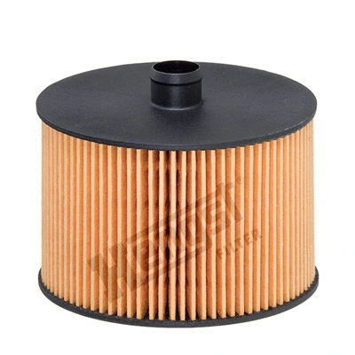 Fuel Filter (E79KP D118)