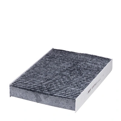 Filter, cabin air (E2975LC)