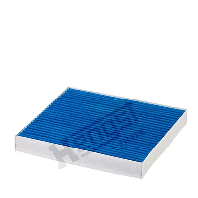 Filter, cabin air (E4961LB)