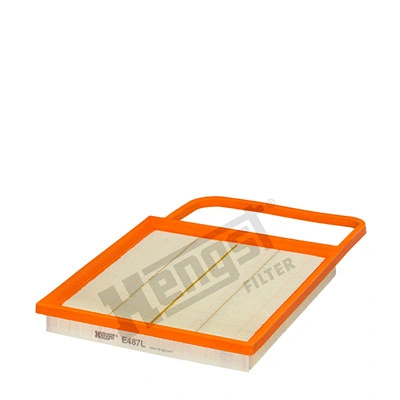 Air Filter (E487L)