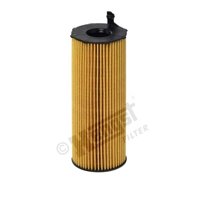 Oil Filter (E73H D134)
