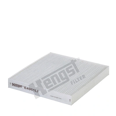 Filter, cabin air (E4961LI)